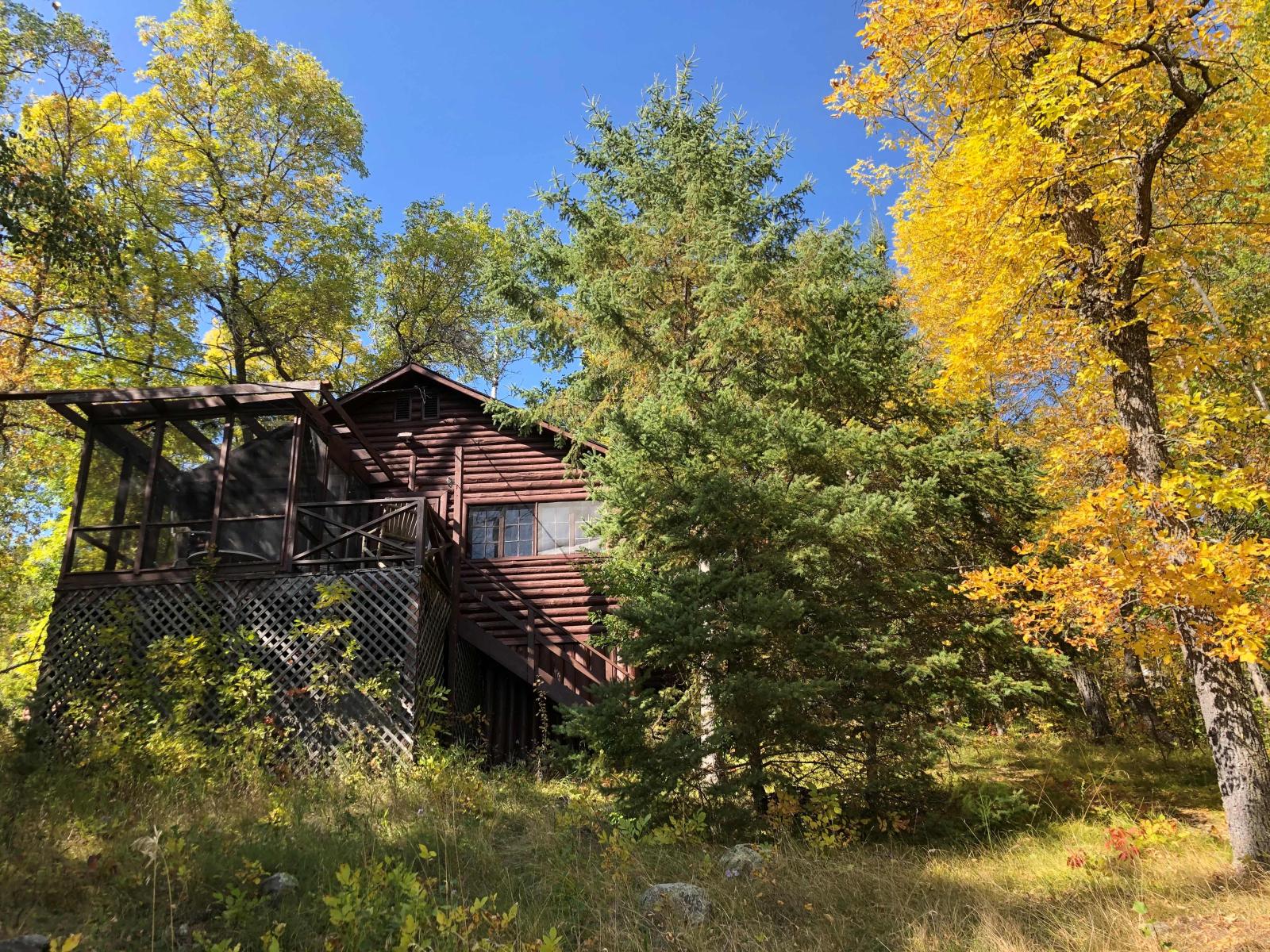 Fall Colors