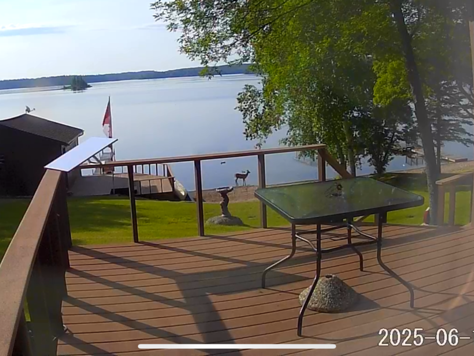 Caddy Lake Lot 2 Front View  - Calm with Deer